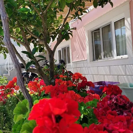 Apartments Jaksic Trogir Exteriör bild
